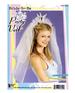 Bride to be Party Veil