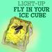 Fly In Your Ice Cube